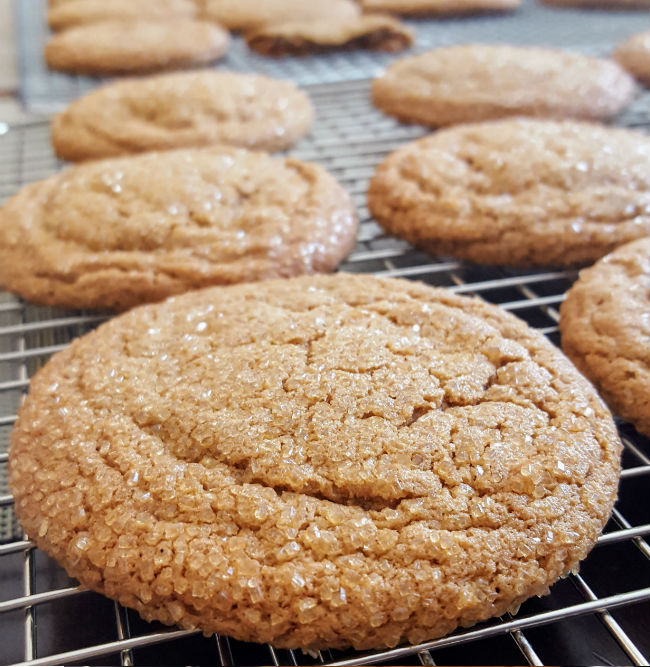 ginger spice cookie with warm flavor